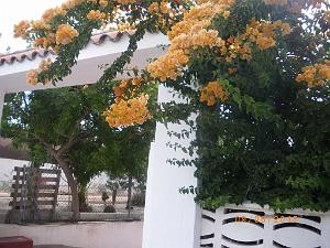 2015 06 06 et 07  APNA A DALIAS ALMERIA  (189)